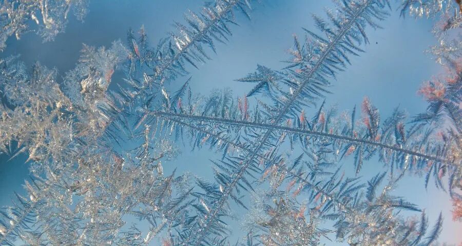 最近家电市场上怨气火气有点多!-家电圈官网