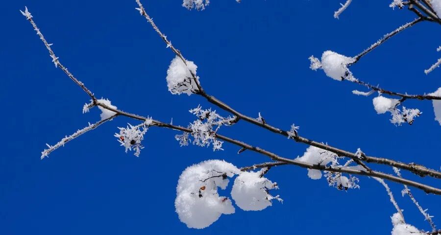 家电企业今后“活下去”的根与魂-家电圈官网