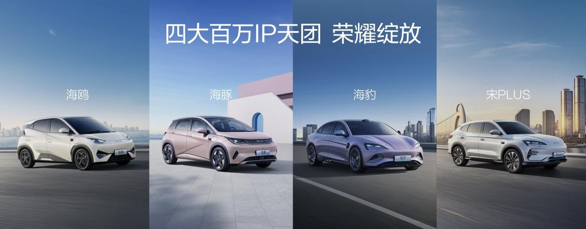 四年累销超600万辆,百万海豚助力海洋网发展加速度-科记汇