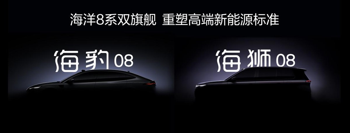 四年累销超600万辆,百万海豚助力海洋网发展加速度-科记汇