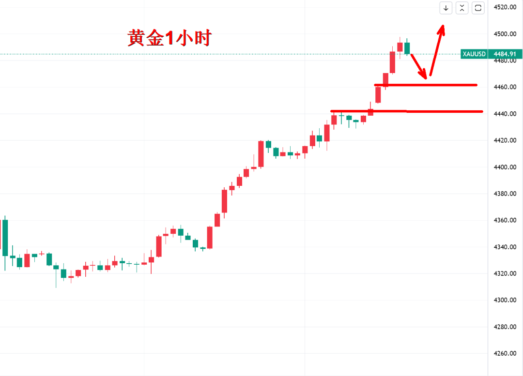 黄金正式进行4位数时代！1000元/克_财富号_东方财富网
