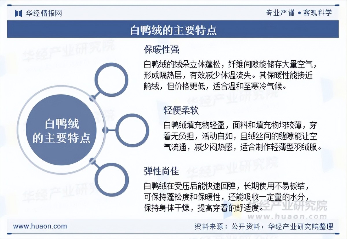 2025年中国白鸭绒行业产品特点、产业链结构及下游应用分析_财富号_东方财富网