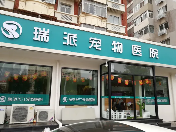 Deep Analysis of the Contradiction Between High Customer Unit Price and Low Profitability at Ruipai Pet Healthcare