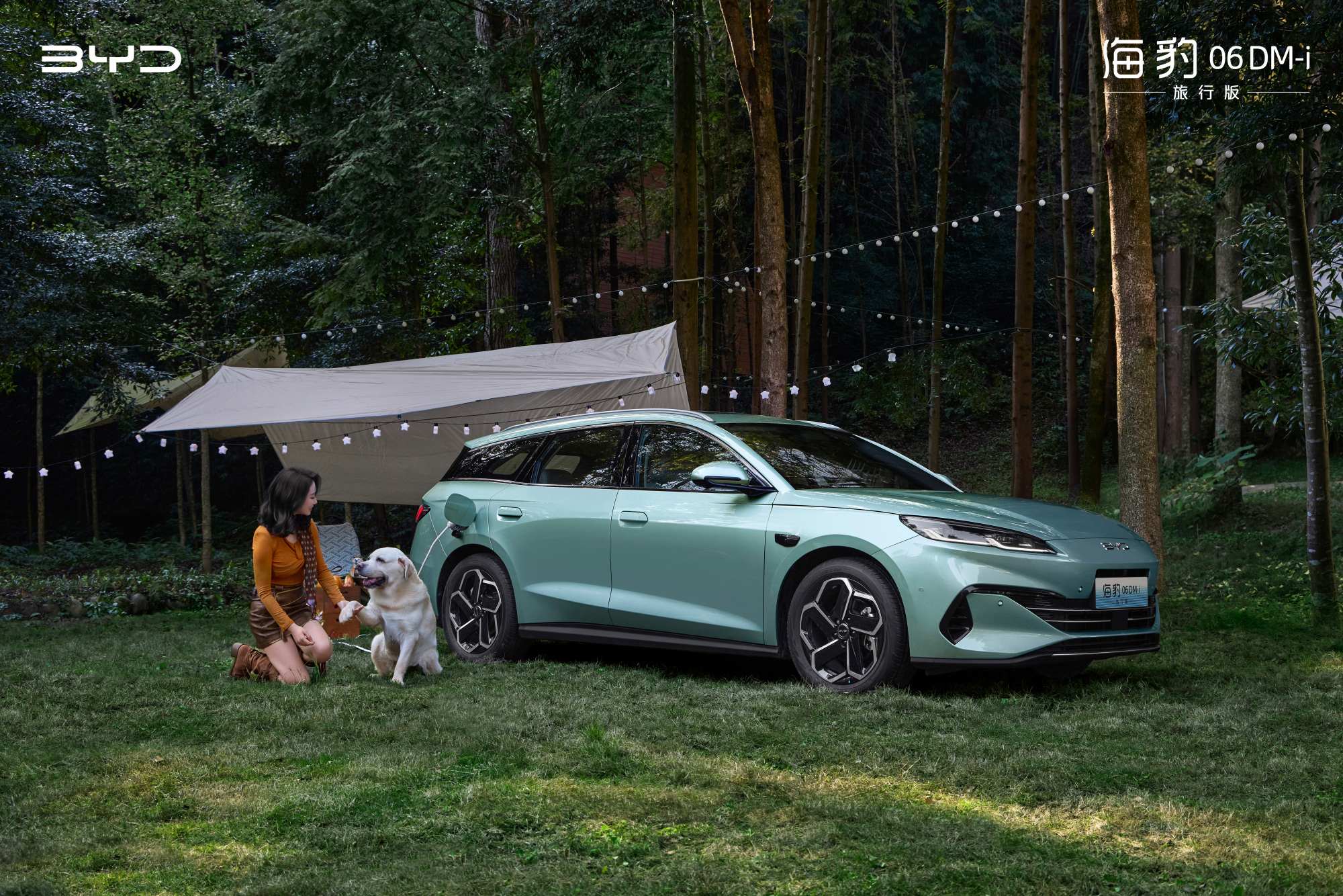 比亚迪股价单日上涨5.45%，报收100元/股，创一个月以来新高_财富号_东方财富网