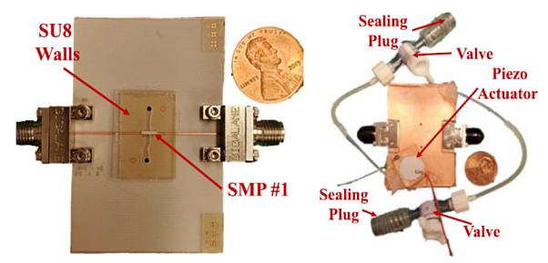Analysis of Pulete (002324) Limit-Up Reasons and Market Outlook