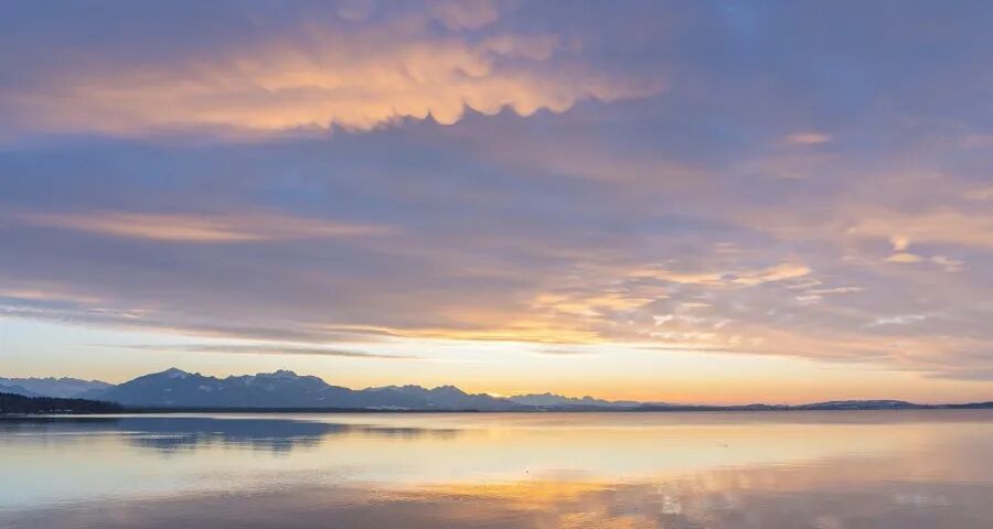 家电企业拿什么拥抱2026年？-家电圈官网