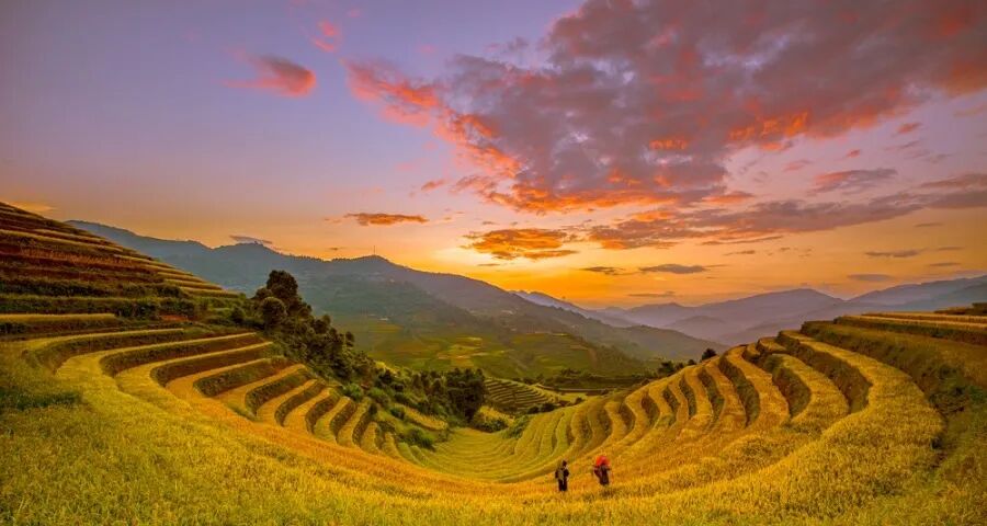 家电厂商要抛弃过度和泛滥营销-家电圈官网