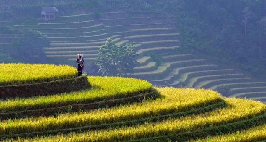 品牌力之外，产品力正成为一些家电企业的“杀手锏”-家电圈官网