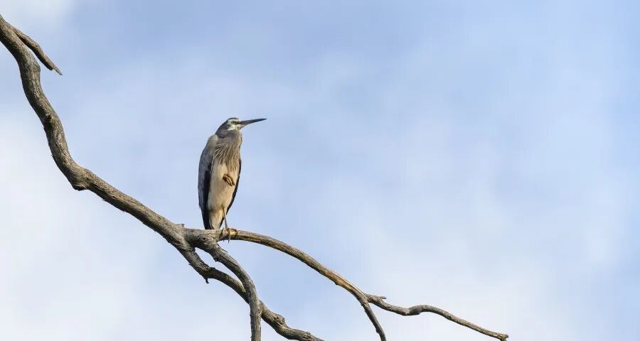 家电产业新年将催生两条竞争赛道-家电圈官网