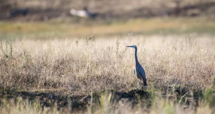 今年空调行业正上演涨价“无间道”-家电圈官网