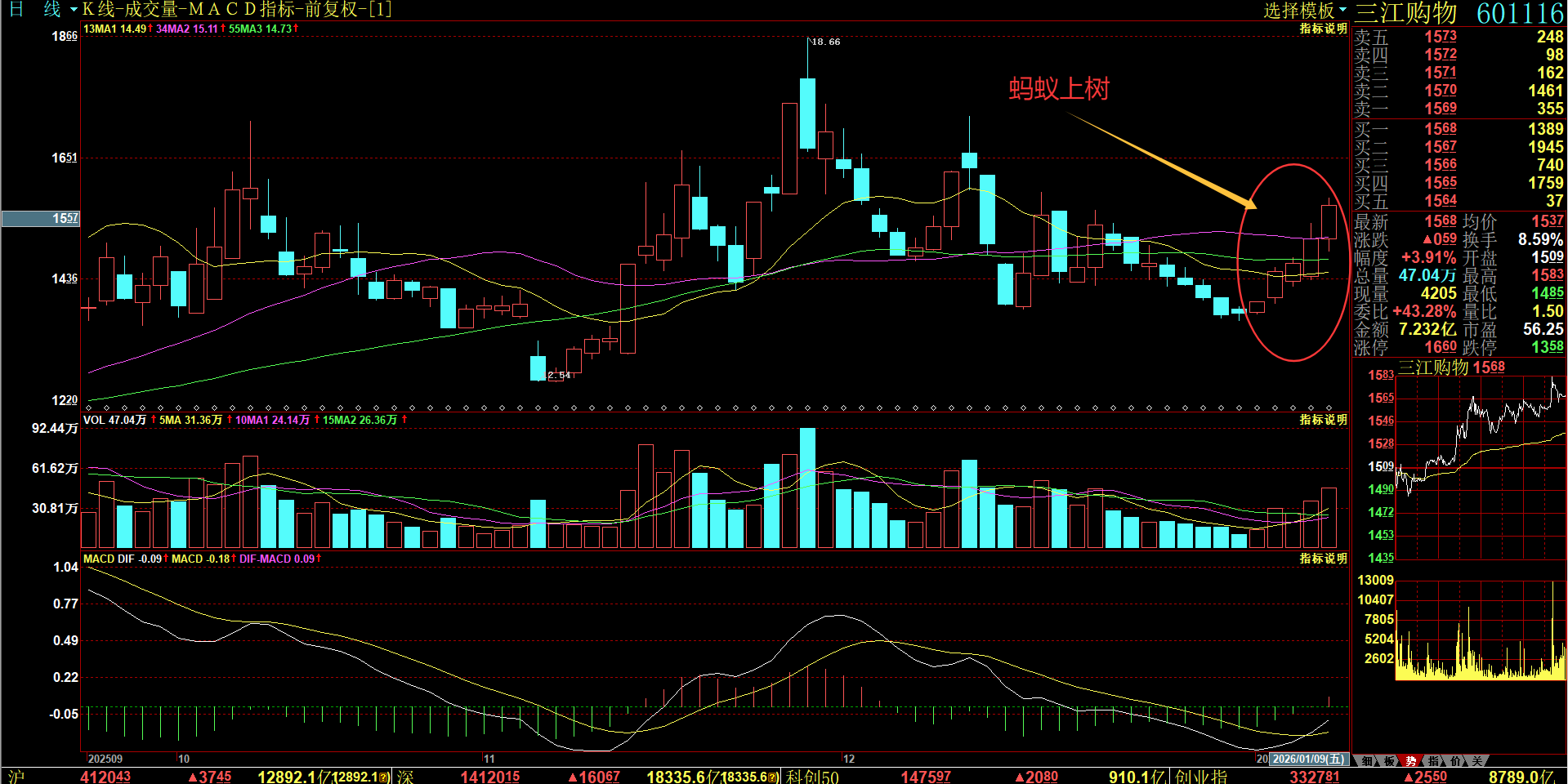 1月11日周末形态赏析