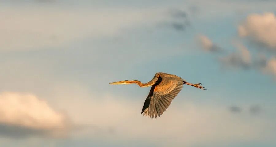 10年免费包修将点燃今年空调战火-家电圈官网