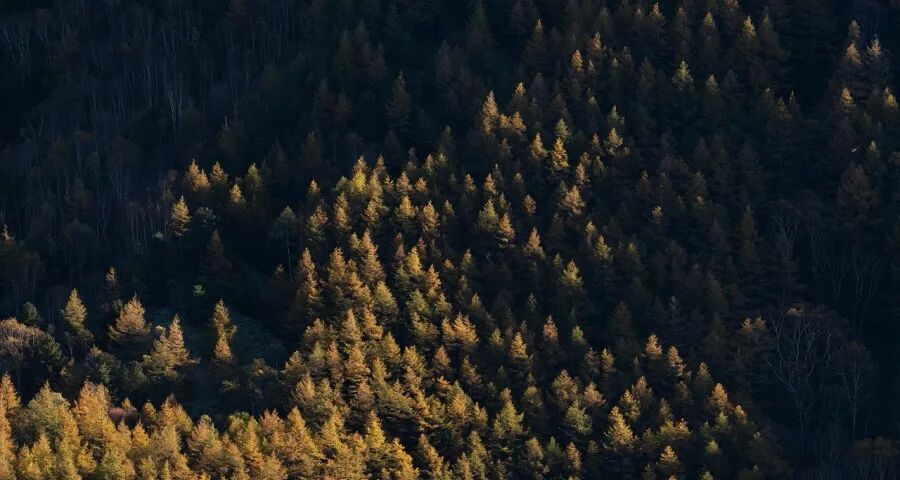 ‍今年家电市场价格竞争将更惨烈！-家电圈官网