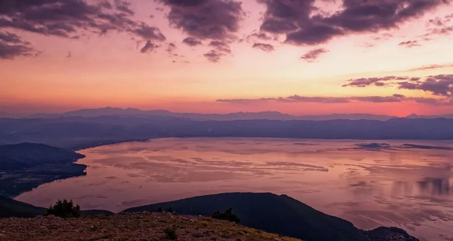 ‍今年家电市场渠道定制机或泛滥-家电圈官网