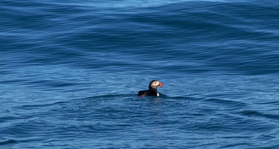 家电企业掉进伪用户时代的大坑-家电圈官网