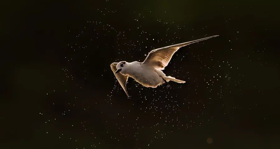 今年家电市场表现将远超预期-家电圈官网