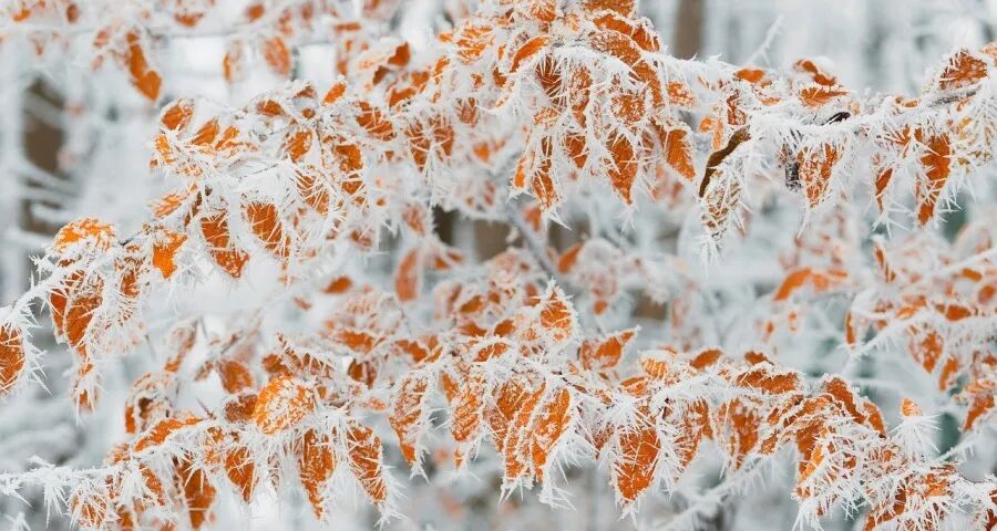 家电零售线上线下一体化藏陷阱-家电圈官网