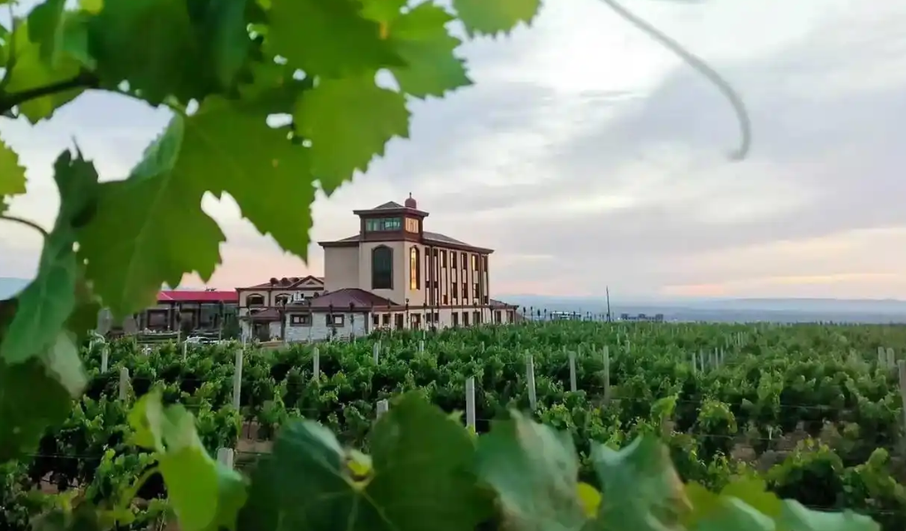 �����������ҵ���´������ɹ��ٰ죬�ź���ׯ���Ѿ���׷��