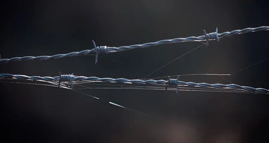 家电企业的出路永远只有一条-家电圈官网