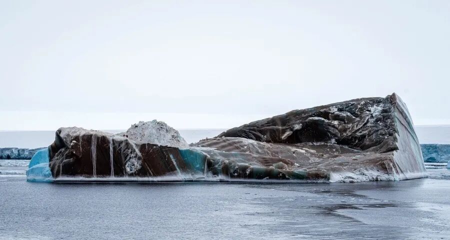 家电企业抢跑！海尔美的格力奥克斯出招，苏宁易购科沃斯松下突围-家电圈官网