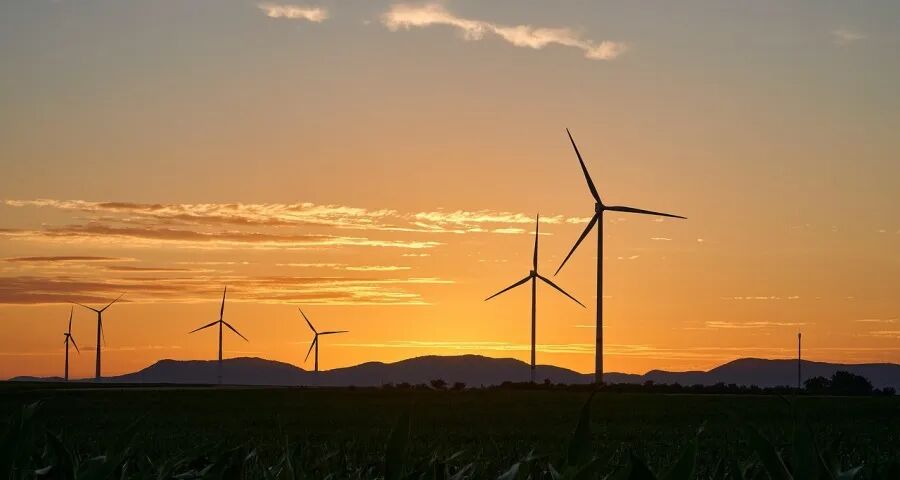 春节假期家电厂商要想三件事！-家电圈官网