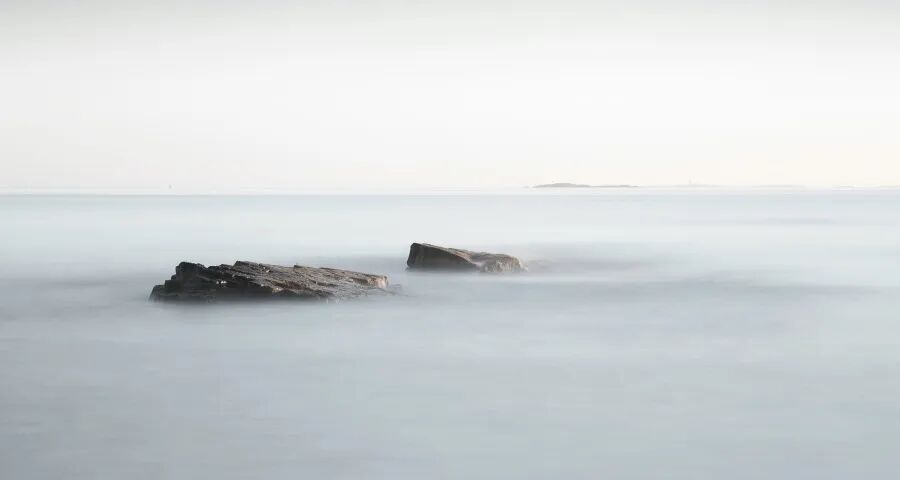 今年家电企业的“活下去”与“活得好”-家电圈官网