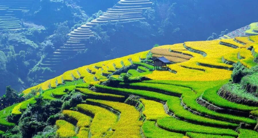 今年3月家电市场必有一场恶战-家电圈官网