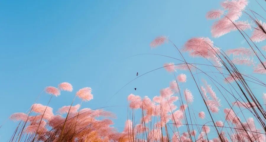 今年家电线下实体店将迎新活法-家电圈官网