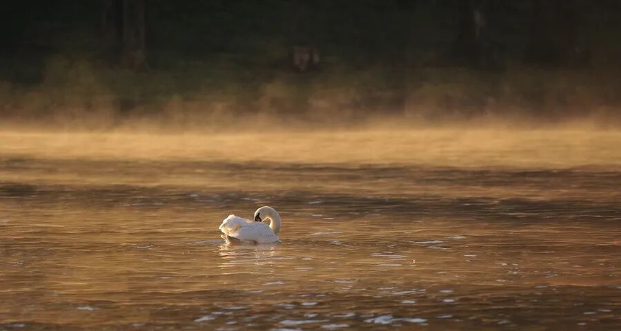 从嵌入到养鲜2026年冰箱什么火？-家电圈官网
