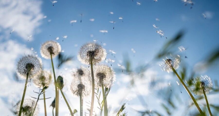 今年家电没有最火只有最稳的赛道-家电圈官网