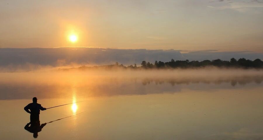 家电线下经销商如何深耕主业？-家电圈官网