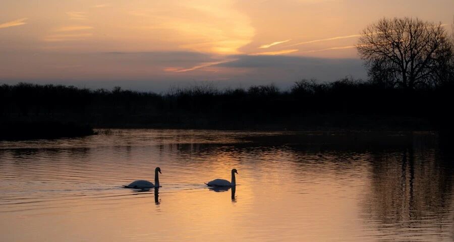 今年家电市场零售压力激增！-家电圈官网