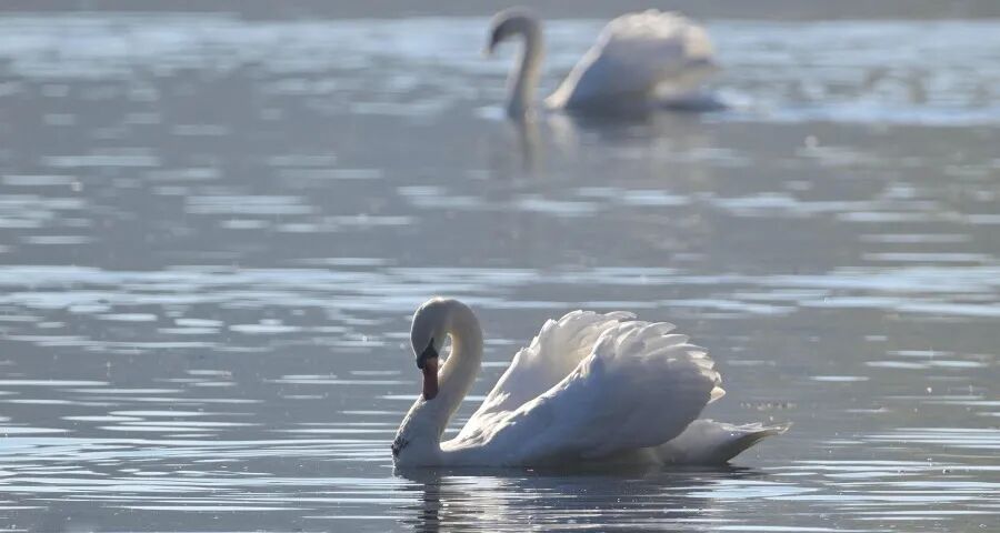 今年家电厂商正面临五道关卡-家电圈官网