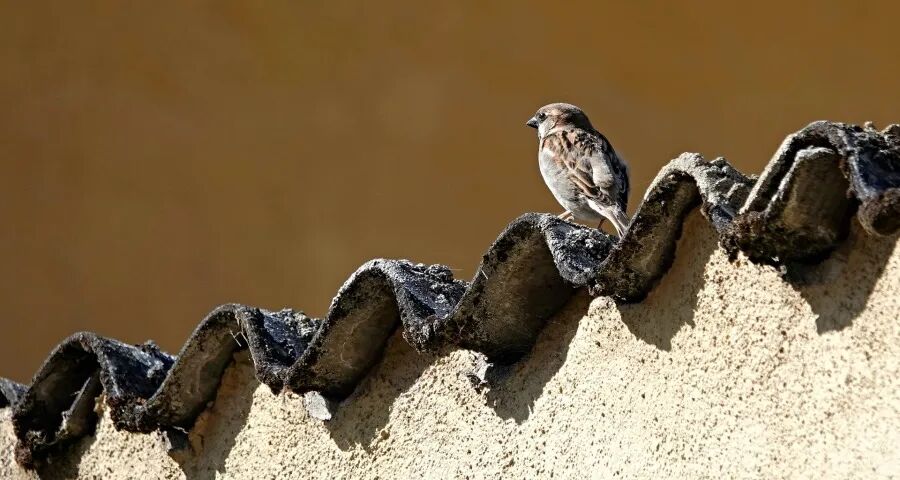 美的海尔格力海信新年开局即开火，创维澳柯玛博世惠而浦谋变-家电圈官网