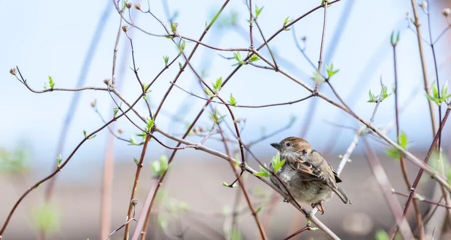 3月家电市场大战到底抢什么？-家电圈官网