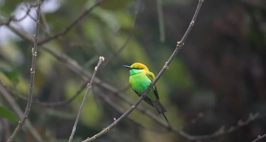 下沉市场成今年家电市场大风口-家电圈官网