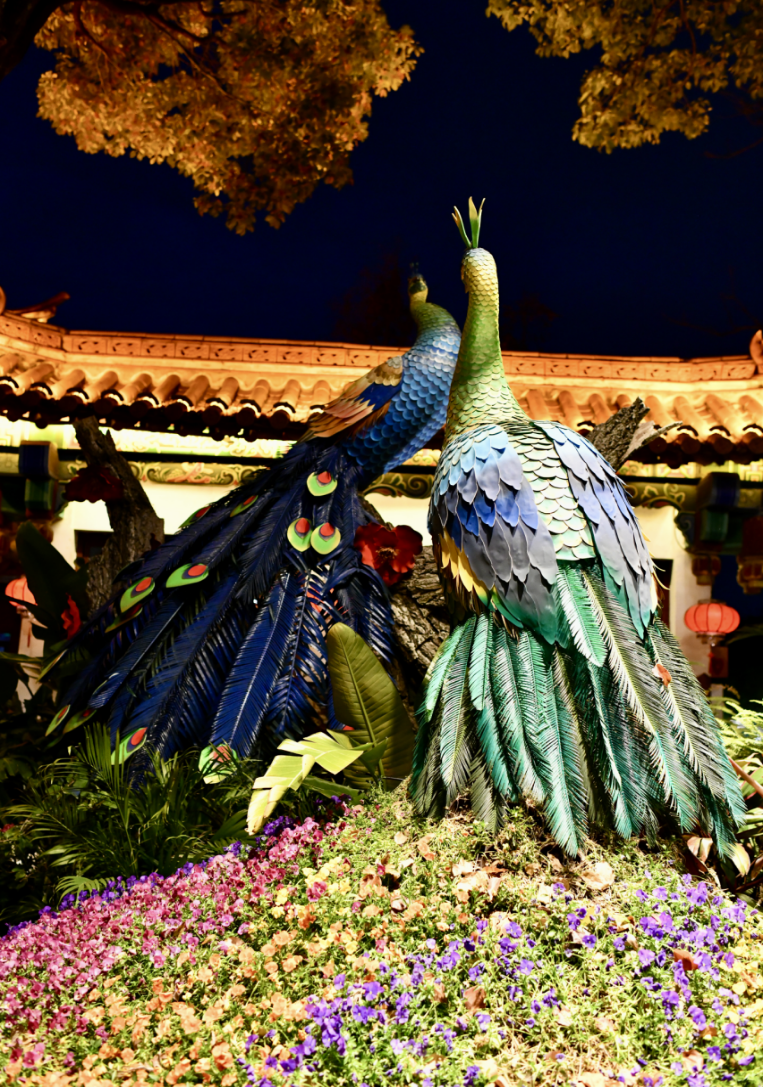 偷得半宵年少梦:元宵忆事