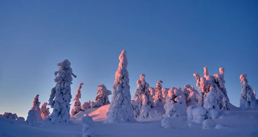 家电企业的渠道开盘别再自嗨了！-家电圈官网