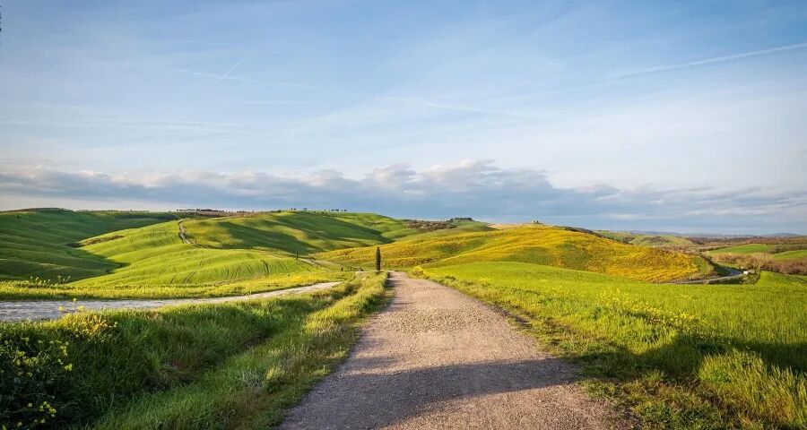 家电线下实体获政策倾斜!海信美的格力九阳坚守美菱新宝惠科生变-家电圈官网