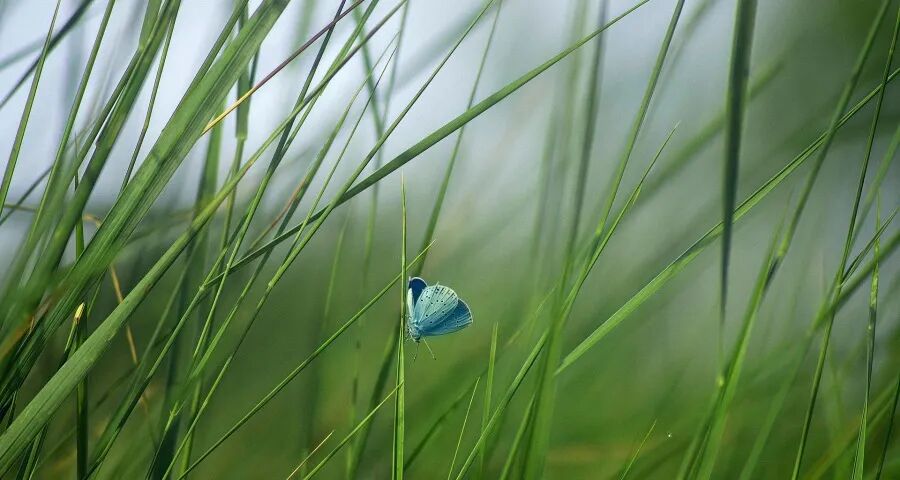 别再开盘了！家电厂商请直接面向用户开火抢单-家电圈官网