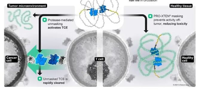 图片来源：Vir Biotechnology, Inc.官网