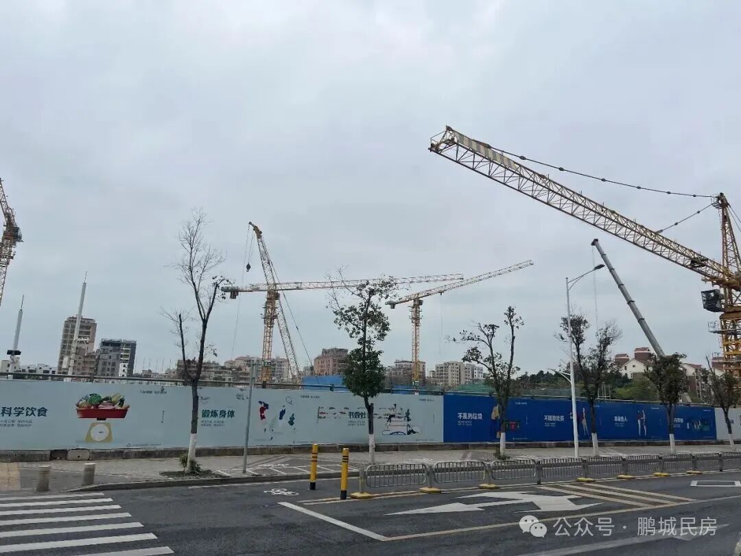 深圳34个旧改摸底,15个迎新进展,1680亿砸向104个重点项目(附名单)_财富号_东方财富网