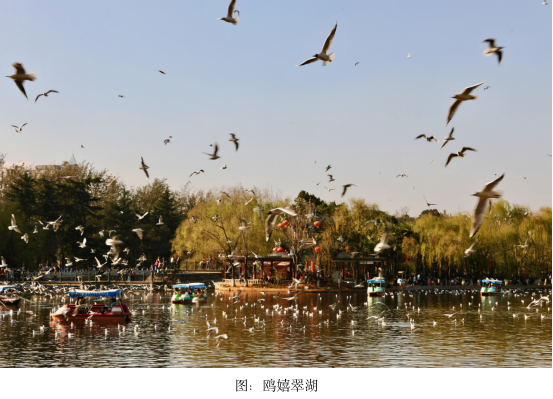 在昆明，山水是生活最温柔的笔触