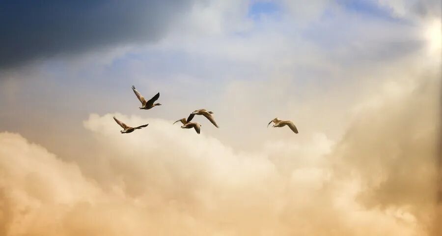 AWE的机器人狂热与家电零售困局-家电圈官网