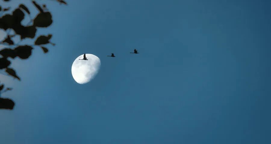 产品涨价了家电企业却不高兴-家电圈官网