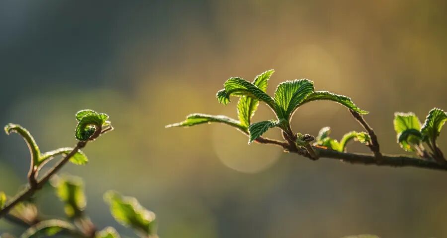 最近家电市场的抢夺失控了!-家电圈官网