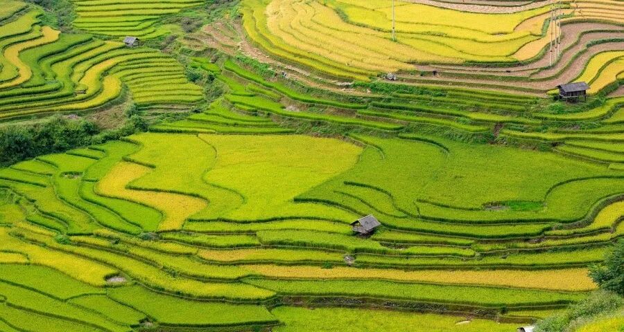 家电涨价:海尔格力激战,美的小天鹅方太老板华帝TCL三星发力-家电圈官网