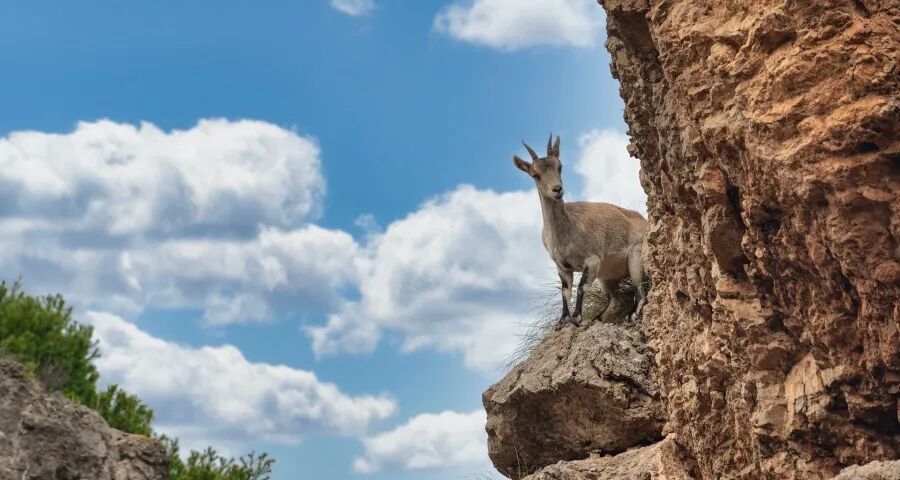 今年一季度家电市场有点意外!-家电圈官网