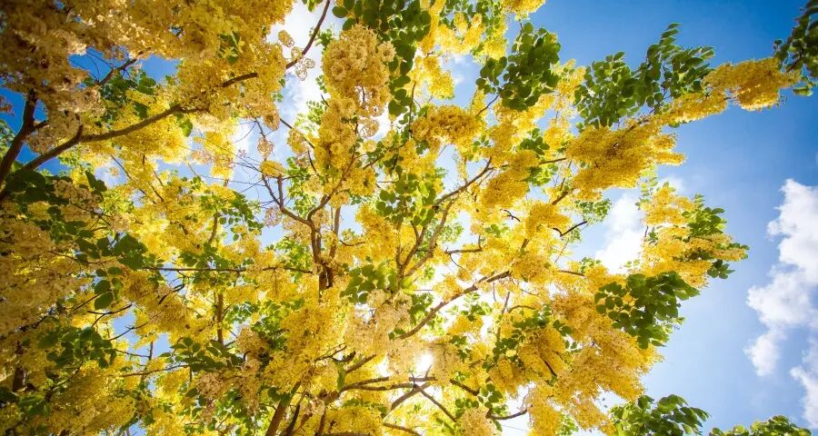 家电产业内卷已经蔓延,底线或失守!-家电圈官网