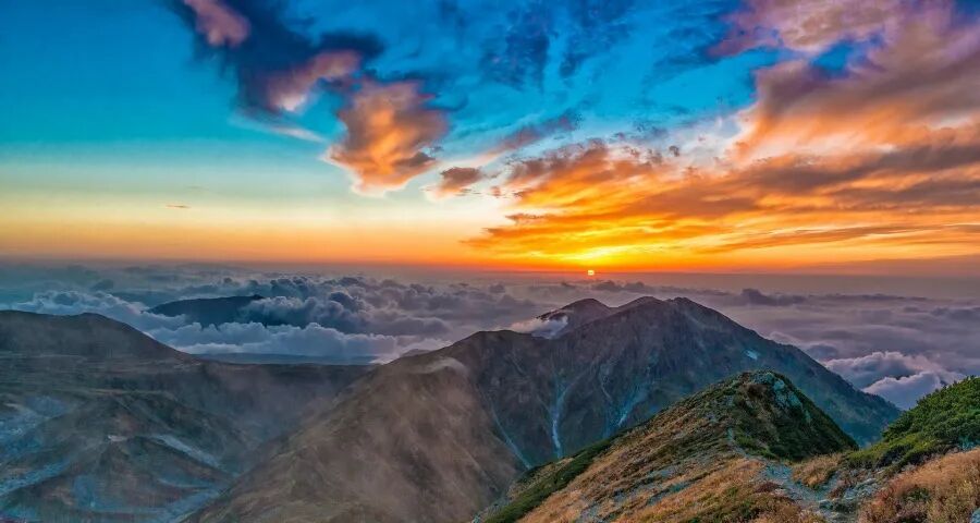 ‍博世西门子家电中国市场营收连跌四年-家电圈官网